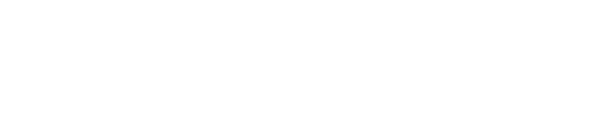 FlashTech Innovation